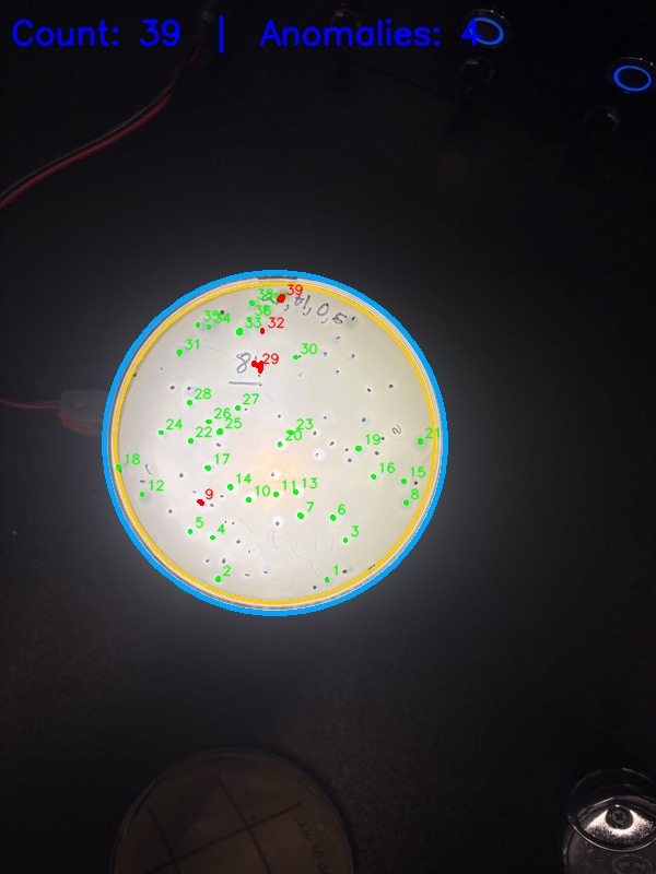 Agar plate under LED illumination