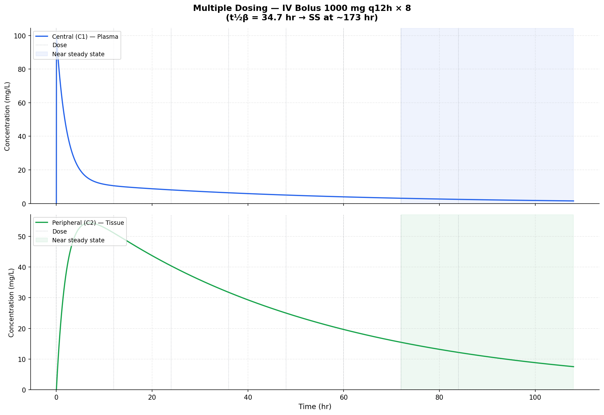 Multiple dosing accumulation to steady state